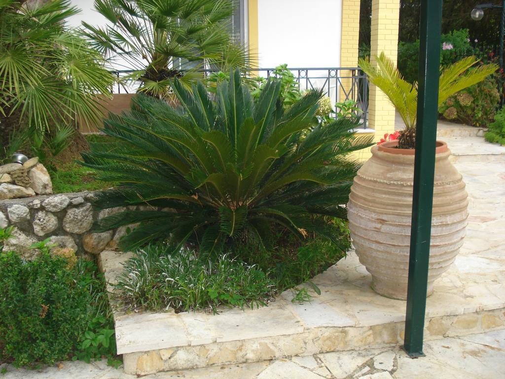 Iron House Apartamento Agios Georgios  Exterior foto