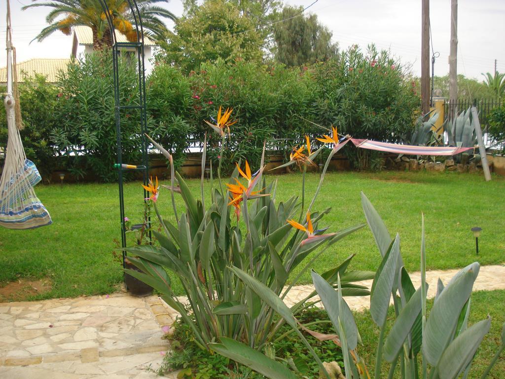 Iron House Apartamento Agios Georgios  Exterior foto